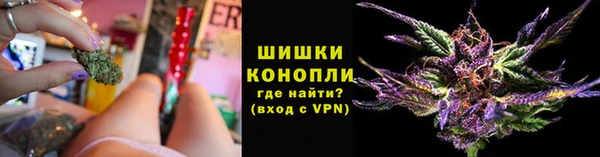 дживик Нефтекумск