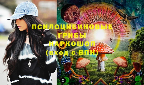 дживик Нефтекумск