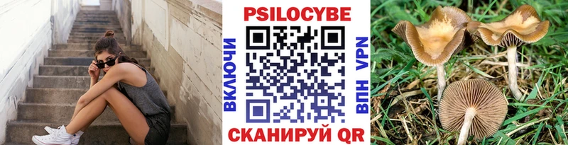 наркотики Павлово Псилоцибиновые грибы ЛСД