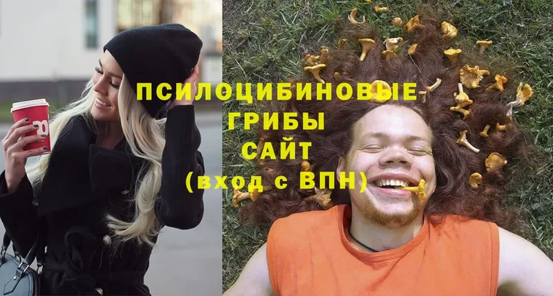 Псилоцибиновые грибы Psilocybe  Павлово 