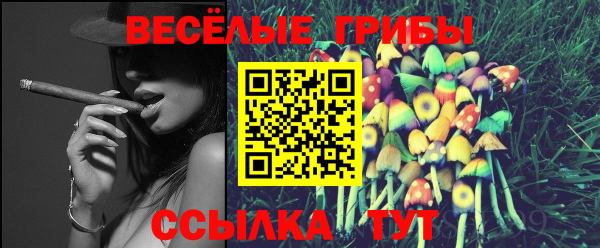 Галлюциногенные грибы GOLDEN TEACHER Павлово
