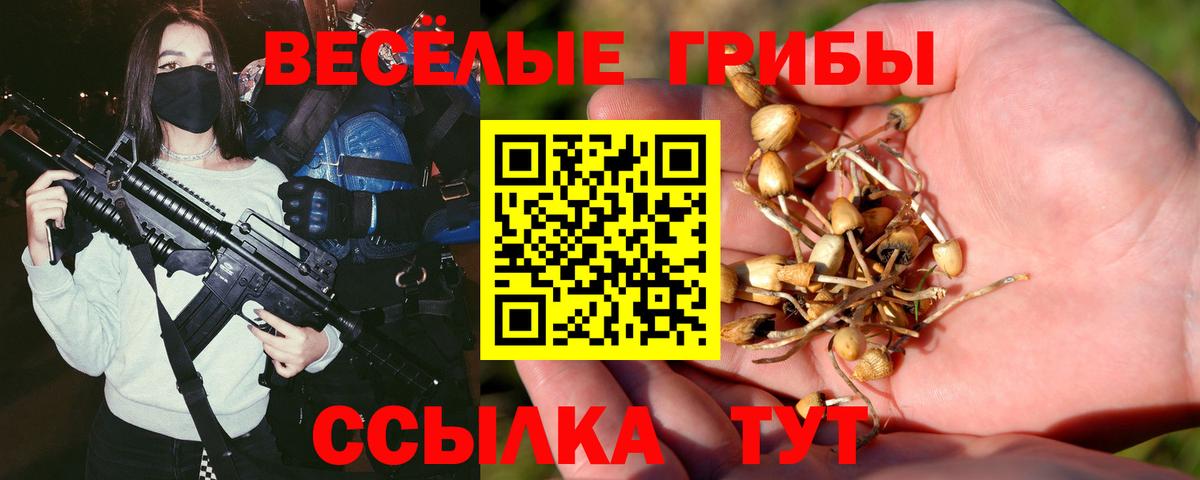 Галлюциногенные грибы Psilocybe Павлово
